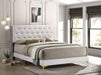 Kendall Upholstered Queen Panel Bed White - Walo Furniture