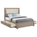 Kenora 56 - inch Eastern King LED Storage Bed Barley Brown - Walo Furniture