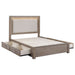 Kenora 56 - inch Queen LED Storage Bed Barley Brown - Walo Furniture