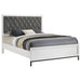 Sonora Queen Upholstered Panel Bed White - Walo Furniture