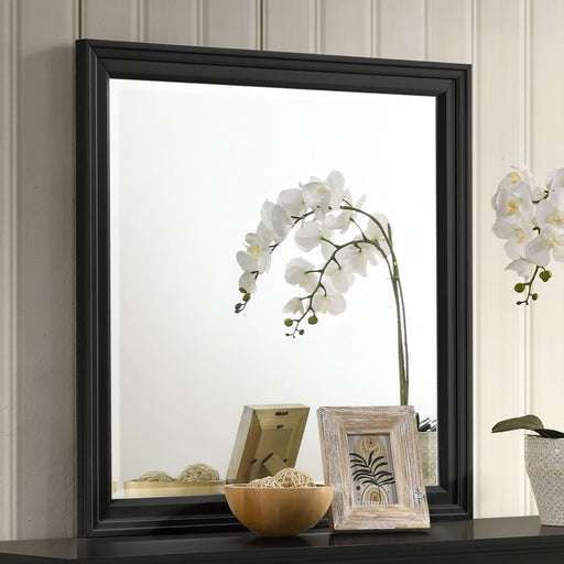 Sandy Beach Dresser Mirror Black - Walo Furniture 