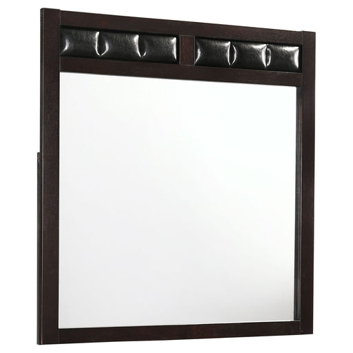 Carlton Dresser Mirror Cappuccino - Walo Furniture 