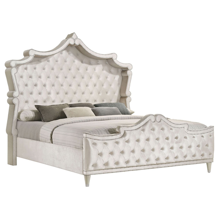 Antonella Upholstered Queen Panel Bed Ivory and Camel with Mattress