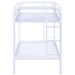 Morgan Metal Twin Over Twin Bunk Bed White - Walo Furniture 