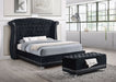 Barzini Upholstered Eastern King Wingback Bed Black - Walo Furniture 