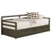 Sorrento 2-drawer Twin XL Daybed with Extension Trundle Grey - Walo Furniture 