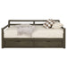 Sorrento 2-drawer Twin XL Daybed with Extension Trundle Grey - Walo Furniture 