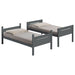 Littleton Wood Twin Over Twin Bunk Bed Grey - Walo Furniture 