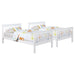 Chapman Wood Twin Over Twin Bunk Bed White - Walo Furniture 