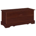 Paula Cedar Chest Warm Brown - Walo Furniture 