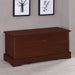 Paula Cedar Chest Warm Brown - Walo Furniture 