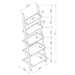 Colella 3-piece Storage Ladder Bookshelf Set Cappuccino - Walo Furniture 