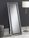 Carisi 22 x 61 Inch Crystal Acrylic Standing Mirror Silver - Walo Furniture 