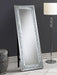 Carisi 22 x 61 Inch Crystal Acrylic Standing Mirror Silver - Walo Furniture 