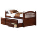 Norwood 3-drawer Twin Bed with Captains Trundle Chestnut - Walo Furniture 