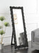 Mckay 24 x 63 Inch Acrylic Frame Standing Mirror Smokey Grey - Walo Furniture 