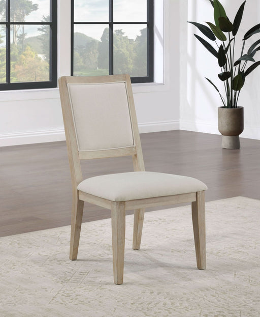 Trofello Cushioned Dining Side Chair White Washed (Set of 2) - Walo Furniture