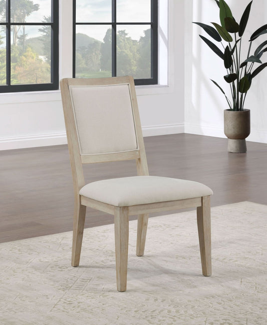 Trofello Cushioned Dining Side Chair White Washed (Set of 2) - Walo Furniture