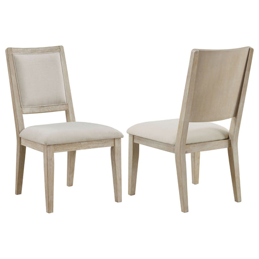 Trofello Cushioned Dining Side Chair White Washed (Set of 2) - Walo Furniture