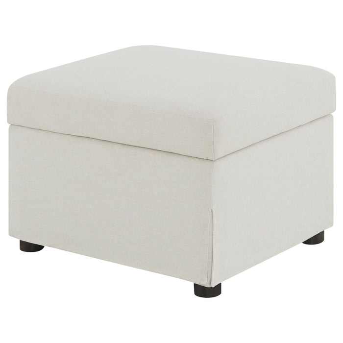 Winter Upholstered Hydraulic Lift Top Storage Ottoman Beige - Walo Furniture