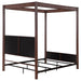 Zimmerlee 89 - inch Metal Eastern King Canopy Bed Rust Brown - Walo Furniture